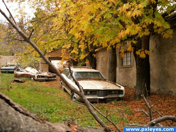 Autumn cars